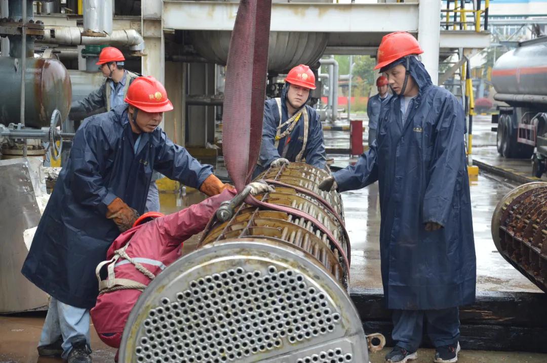 1618993117957037.jpeg 1618993117957037.jpeg