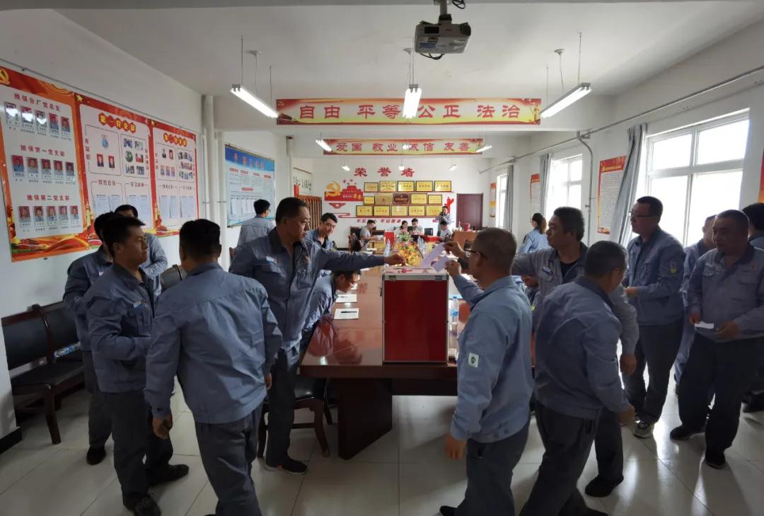 1626433778193518.jpeg 1626433778193518.jpeg