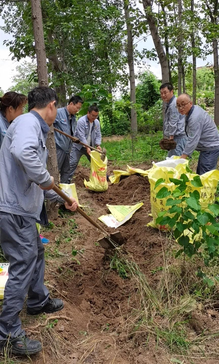 1626863407177059.jpeg 1626863407177059.jpeg