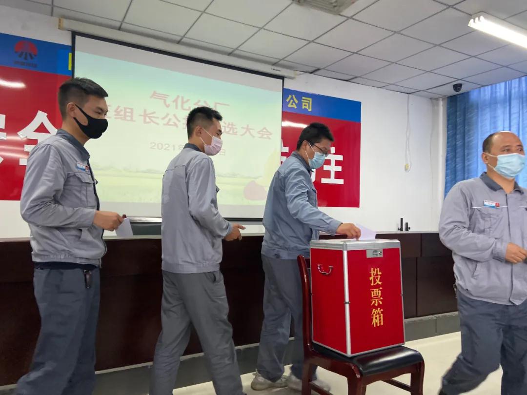 1631184207173153.jpeg 1631184207173153.jpeg