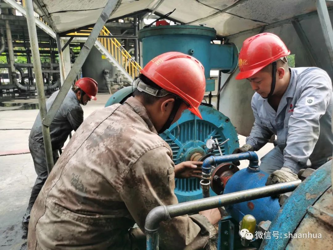 1646216370461115.jpeg 1646216370461115.jpeg