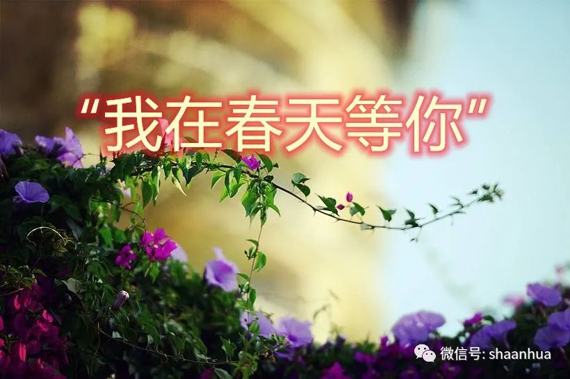 1646732677671143.jpeg 微信圖片_20220308174222.jpg