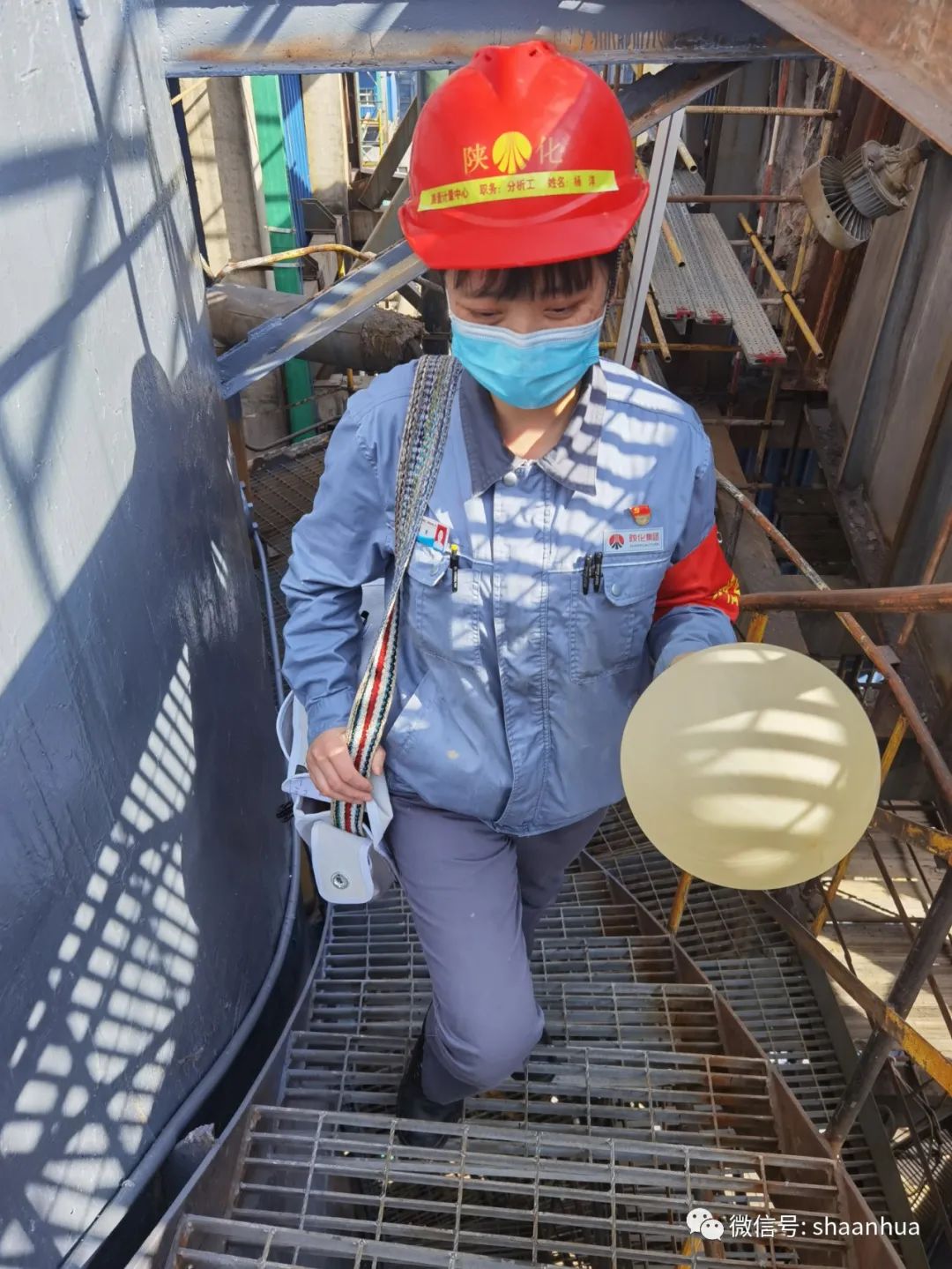 1654996426959927.jpeg 1654996426959927.jpeg