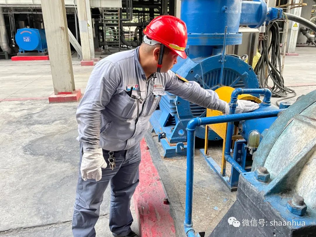 1656557797419559.jpeg 1656557797419559.jpeg