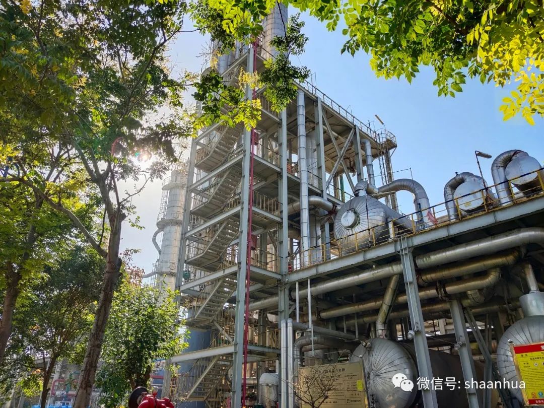 1660040271880087.jpeg 1660040271880087.jpeg