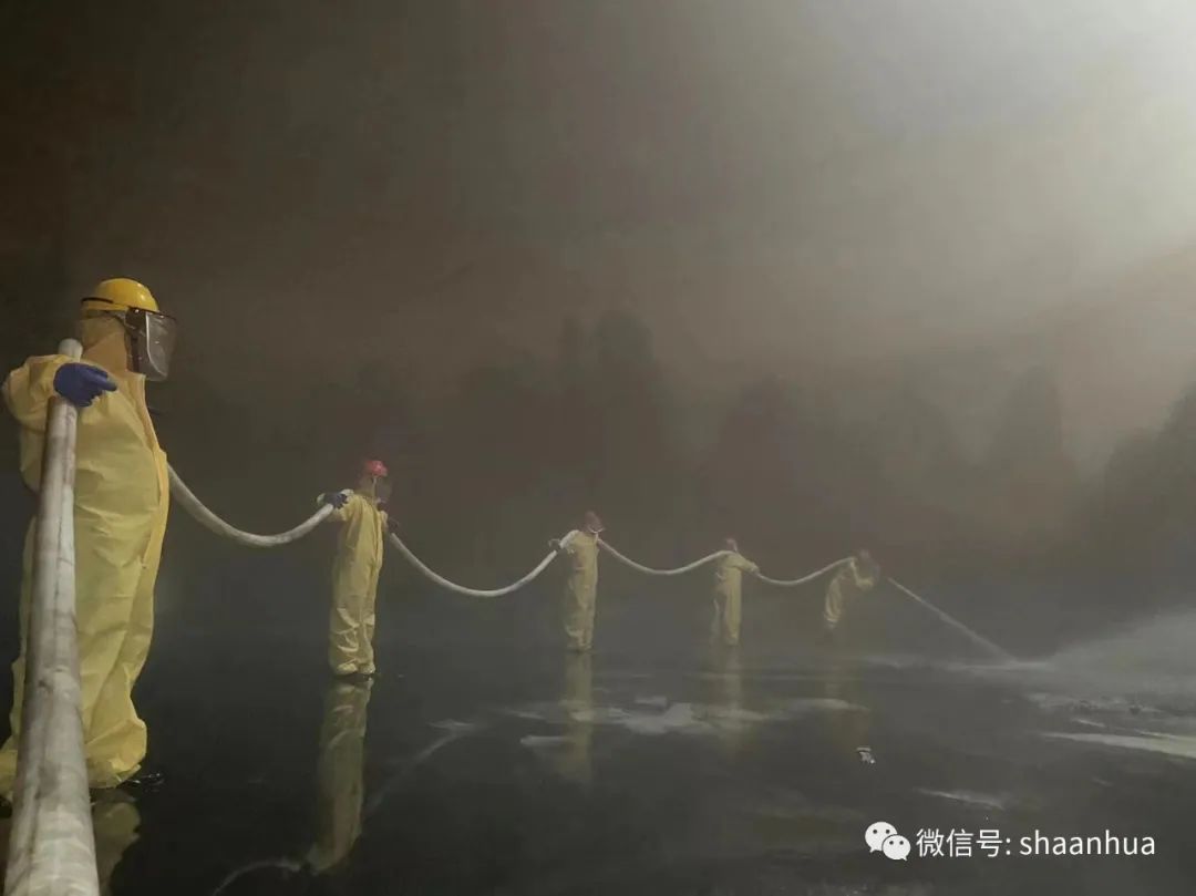 1660818228444019.jpeg 1660818228444019.jpeg