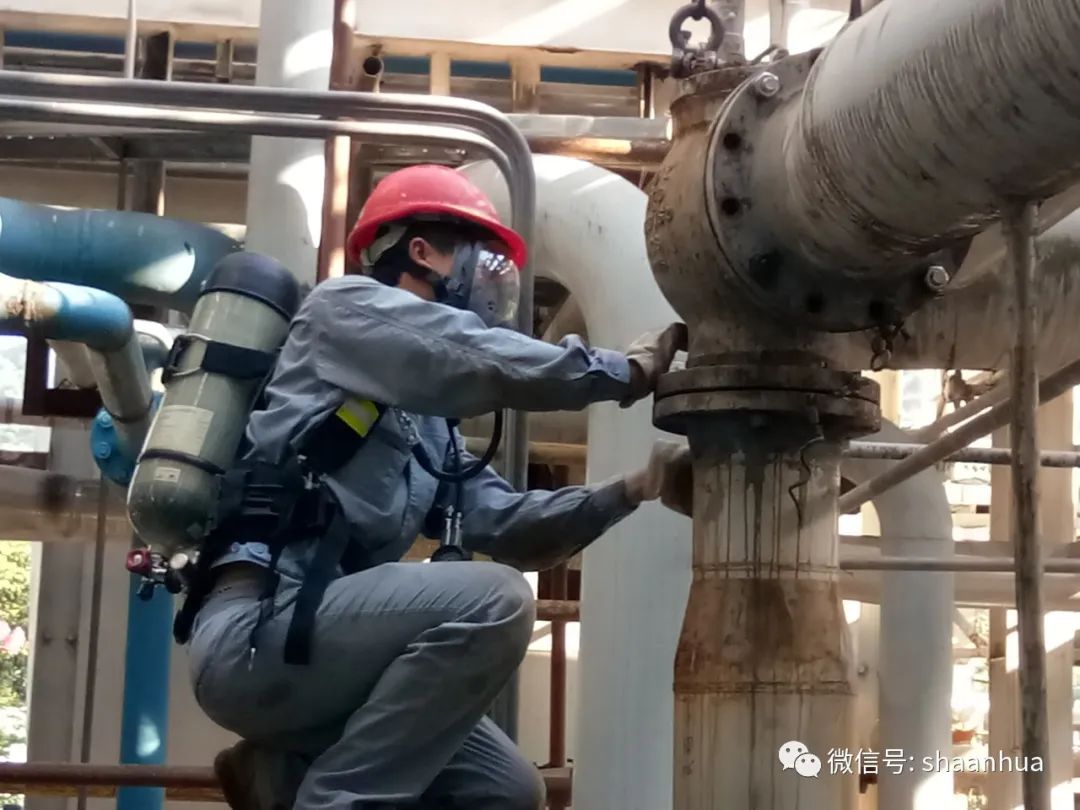 1660818501829219.jpeg 1660818501829219.jpeg