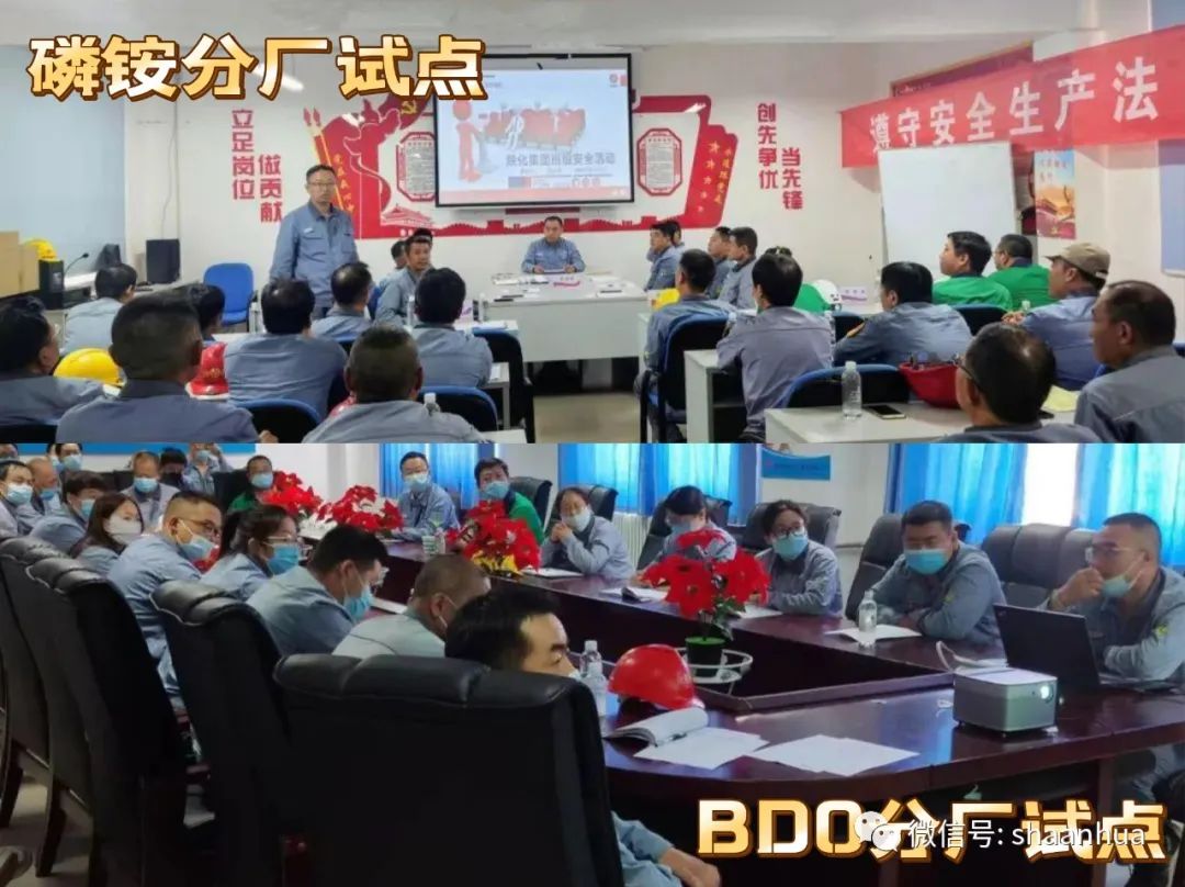 1661776311815765.jpeg 1661776311815765.jpeg