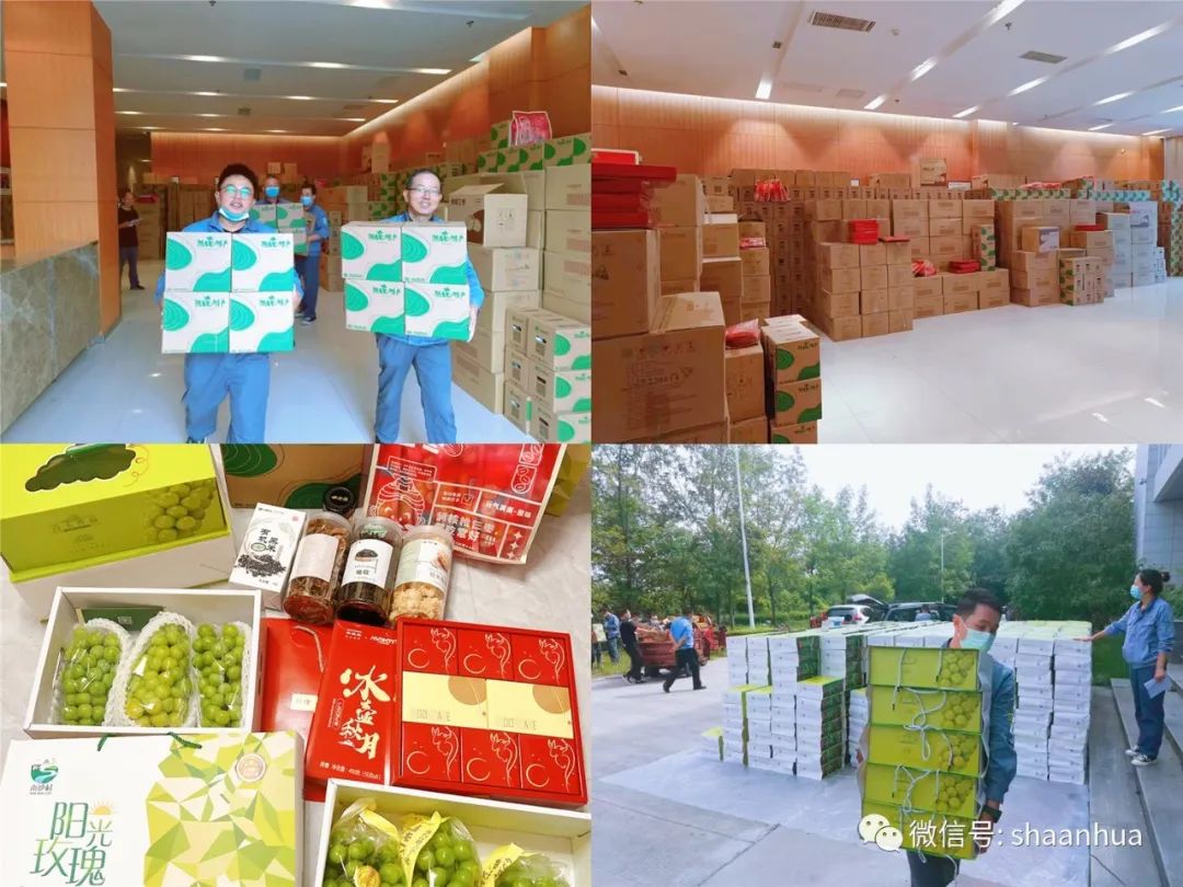 1662543207541095.jpeg 1662543207541095.jpeg