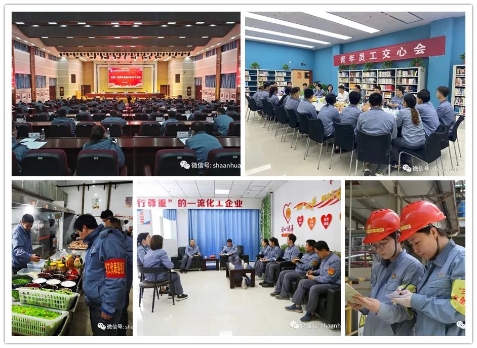 1671529113352025.jpeg 1671529113352025.jpeg