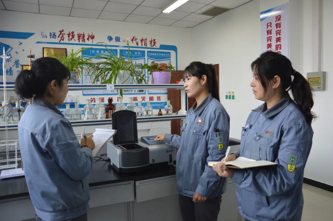 1677079067318828.jpeg 1677079067318828.jpeg