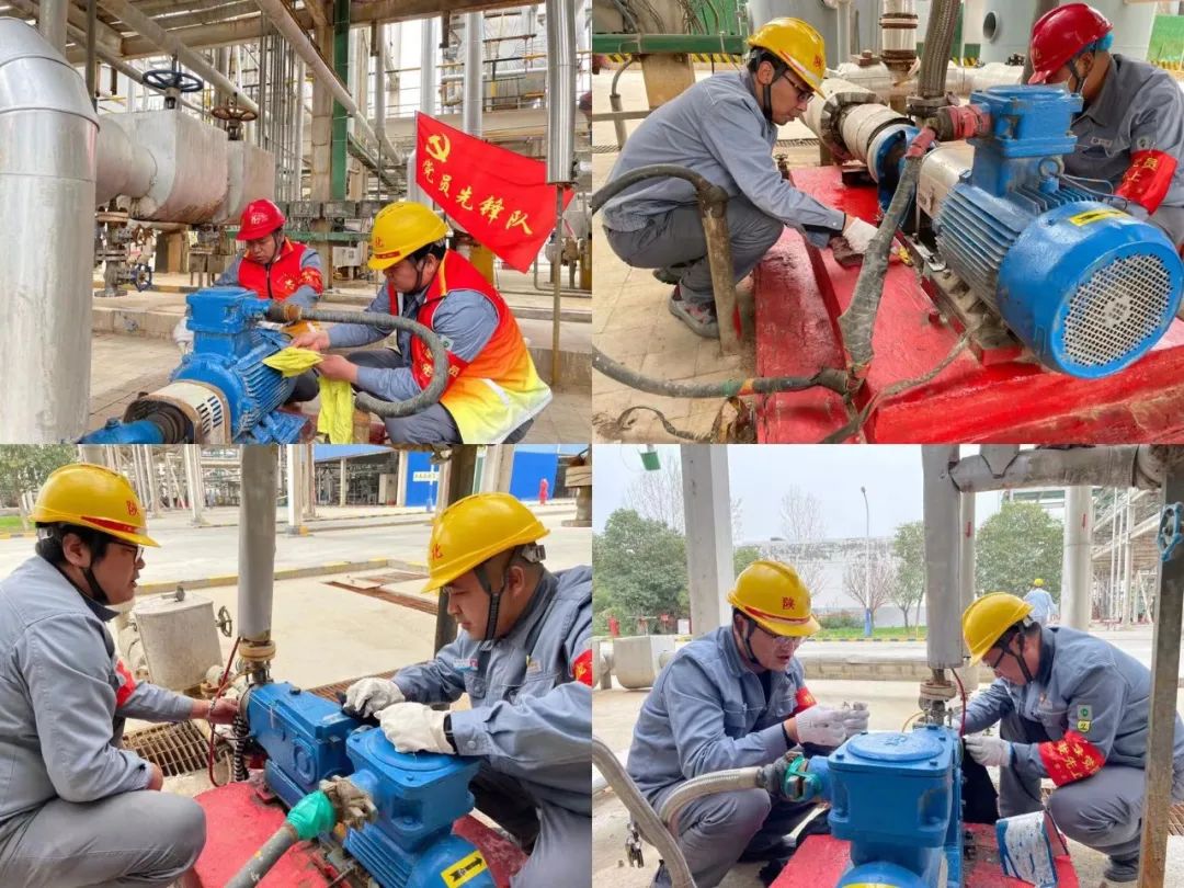 1679624816534483.jpeg 1679624816534483.jpeg