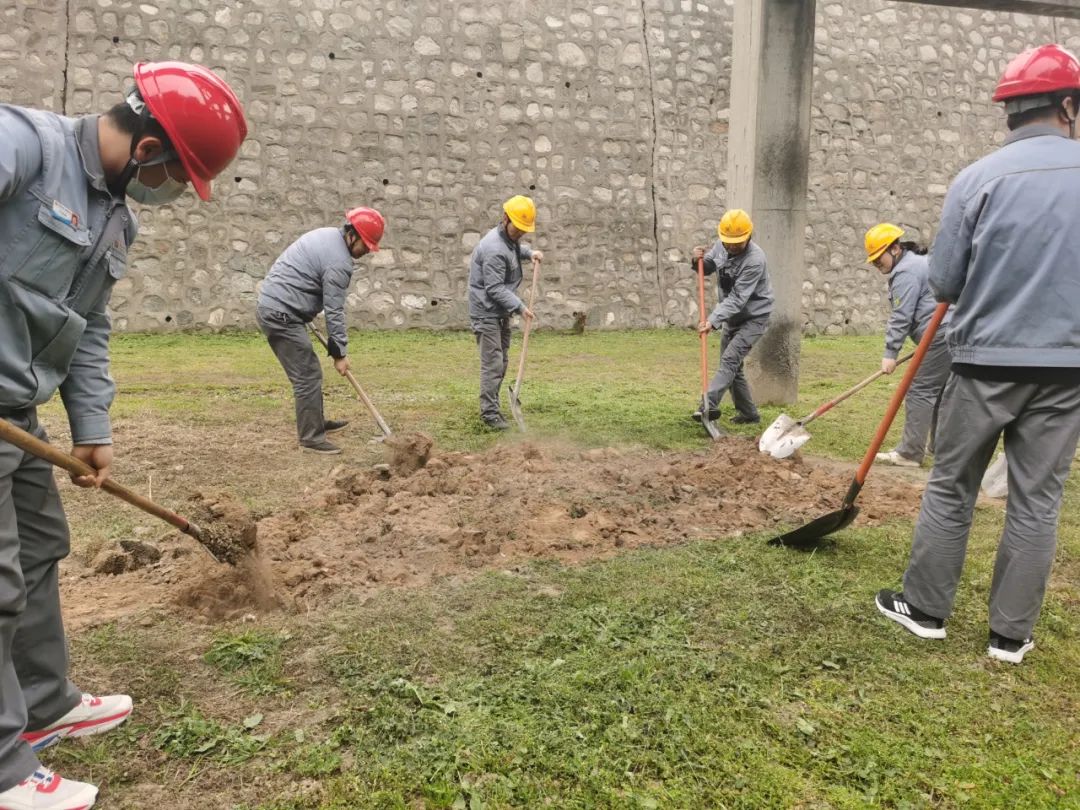 1679653296466723.jpeg 1679653296466723.jpeg