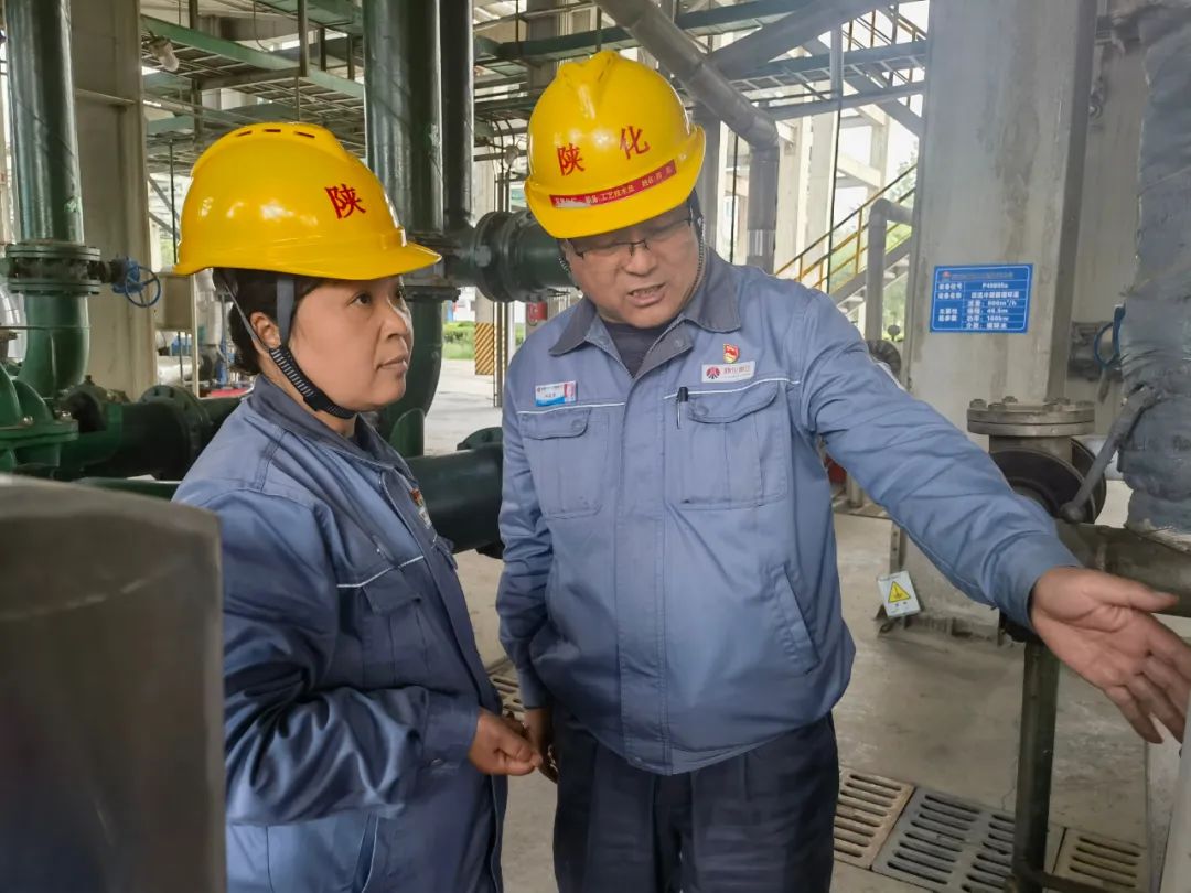 1681652066885794.jpeg 1681652066885794.jpeg