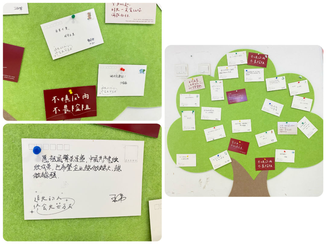 1690213784991973.jpeg 1690213784991973.jpeg