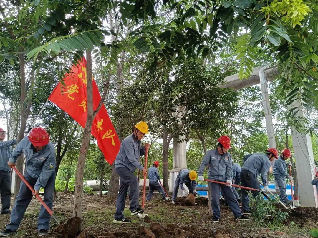 1690881622867849.jpeg 1690881622867849.jpeg