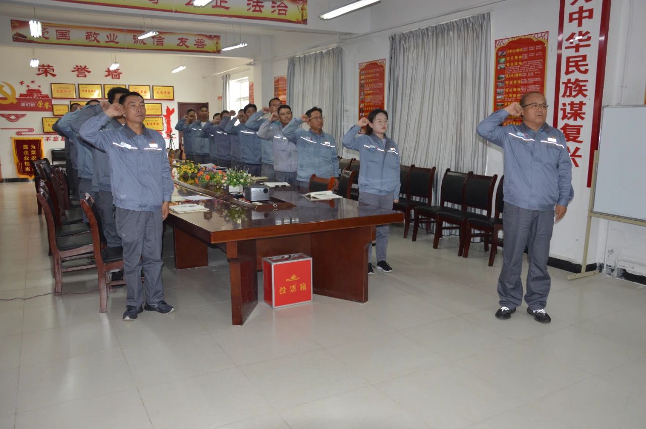 1691498815287771.jpeg 1691498815287771.jpeg