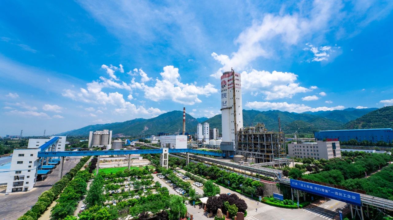 1692361645598884.jpeg 1692361645598884.jpeg