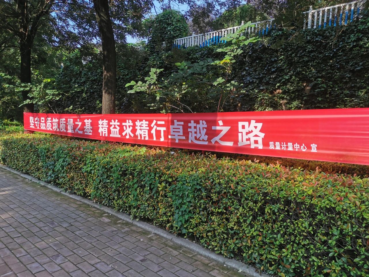 1695607596363765.jpeg 1695607596363765.jpeg