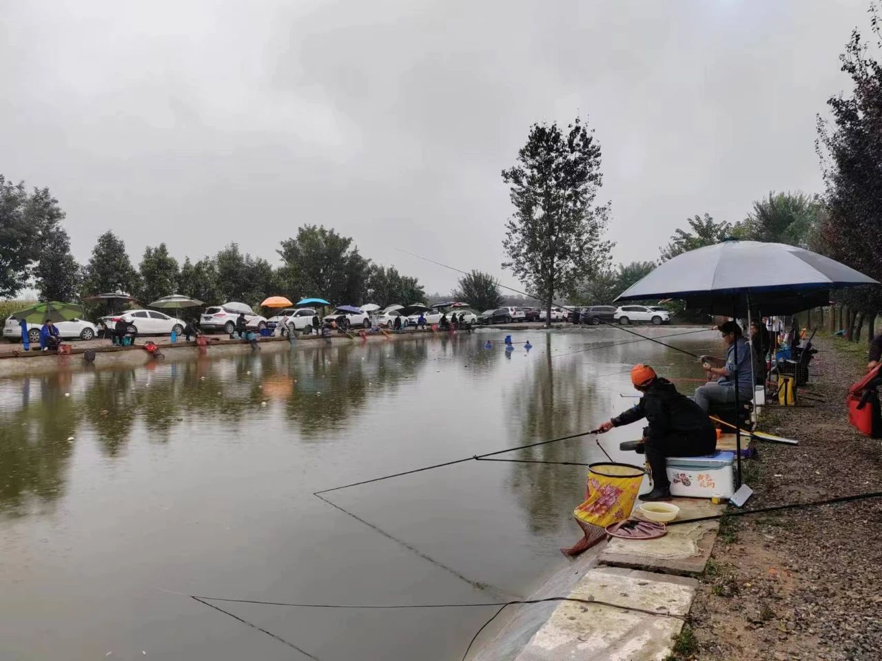 1695640530394029.jpeg 1695640530394029.jpeg