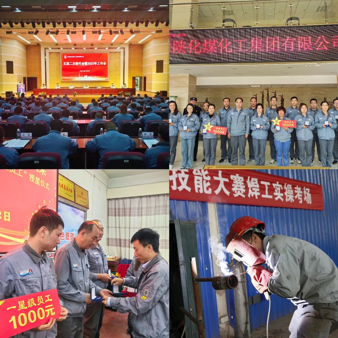 1700475984707682.jpeg 1700475984707682.jpeg