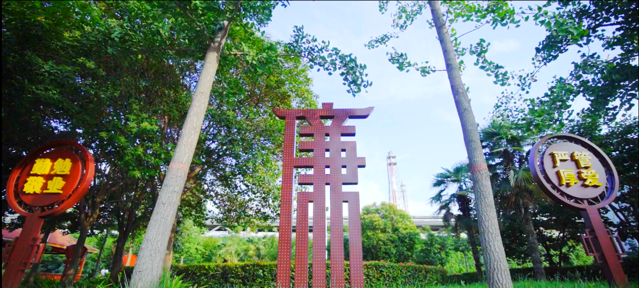 1700817529786118.png 1700817529786118.png