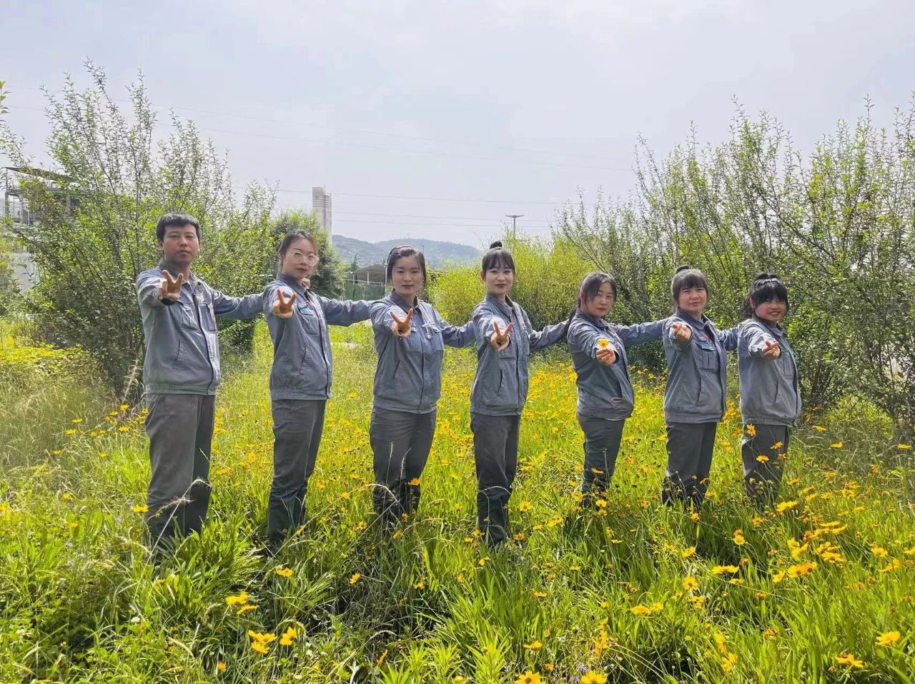 1701341973698508.jpeg 1701341973698508.jpeg