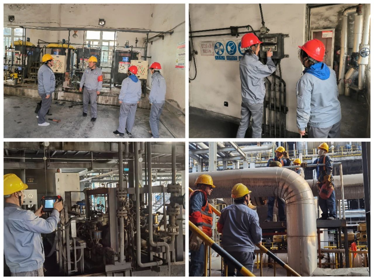 1704191626211315.jpeg 1704191626211315.jpeg